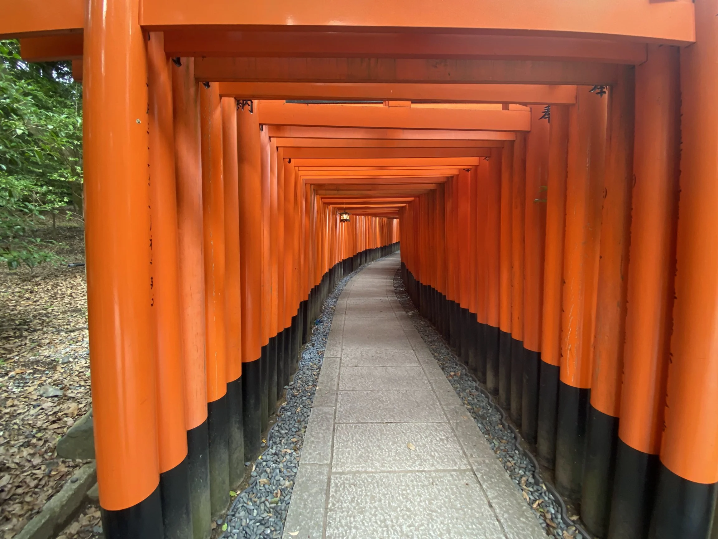 Fushimi Inari, shrine, torii, shrine gate,